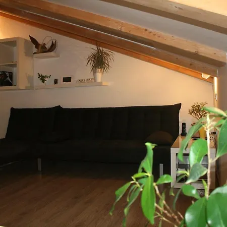 Olive Charm ウマグ