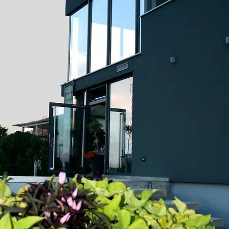 Olive Charm Apartman