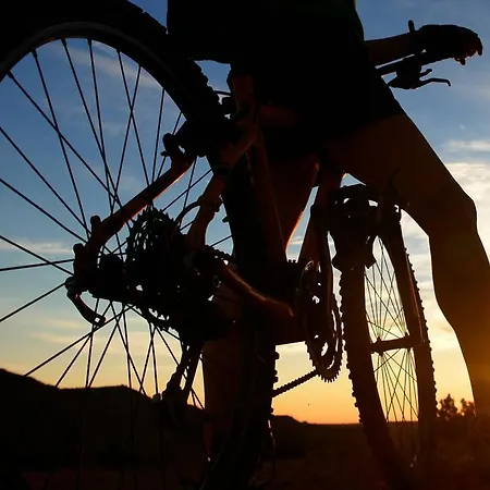 Olive Charm Appartement