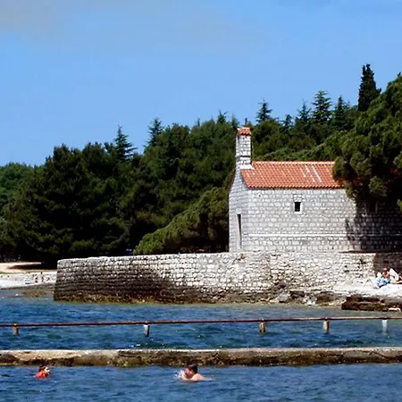 Appartement Olive Charm