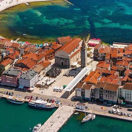 Appartement Olive Charm