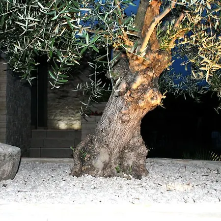 Апартаменты Olive Charm Умаг