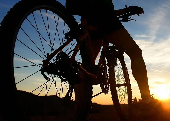 Olive Charm Apartman