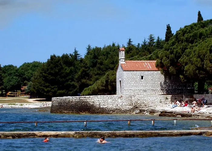 Apartman Olive Charm