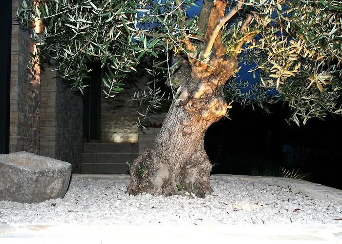 Apartman Olive Charm Umag